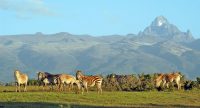2-days-mount-kenya-national-park