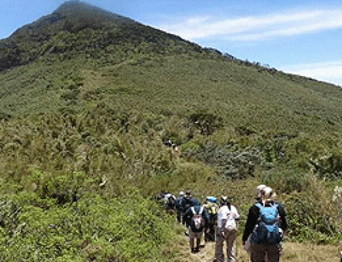 5 days Aberdare Trekking safari